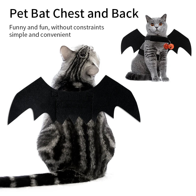 Bat Cat