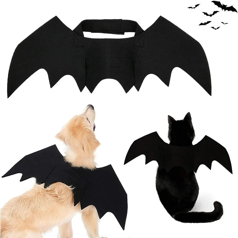 Bat Cat