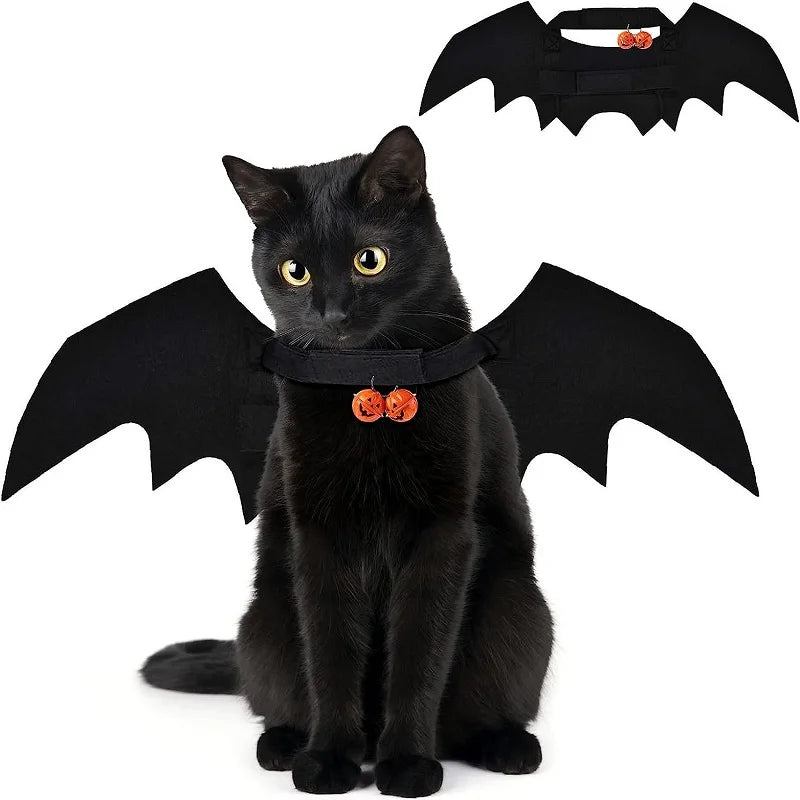 Bat Cat