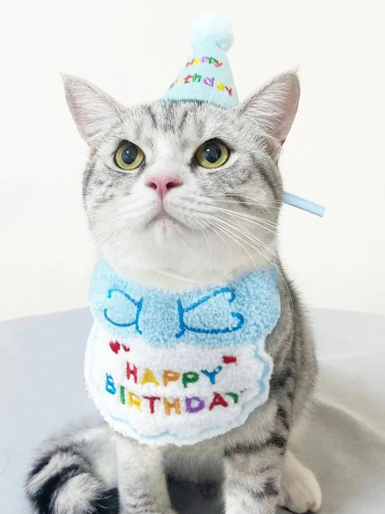 Roupinha de aniversário para Gatinhos